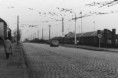 /album/fotogalerie/imag0545-jpg/